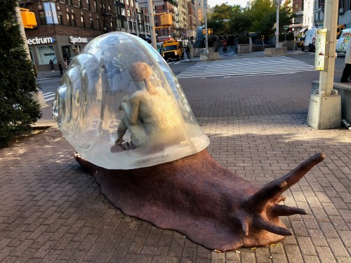 102518-contempative-life-in-snail