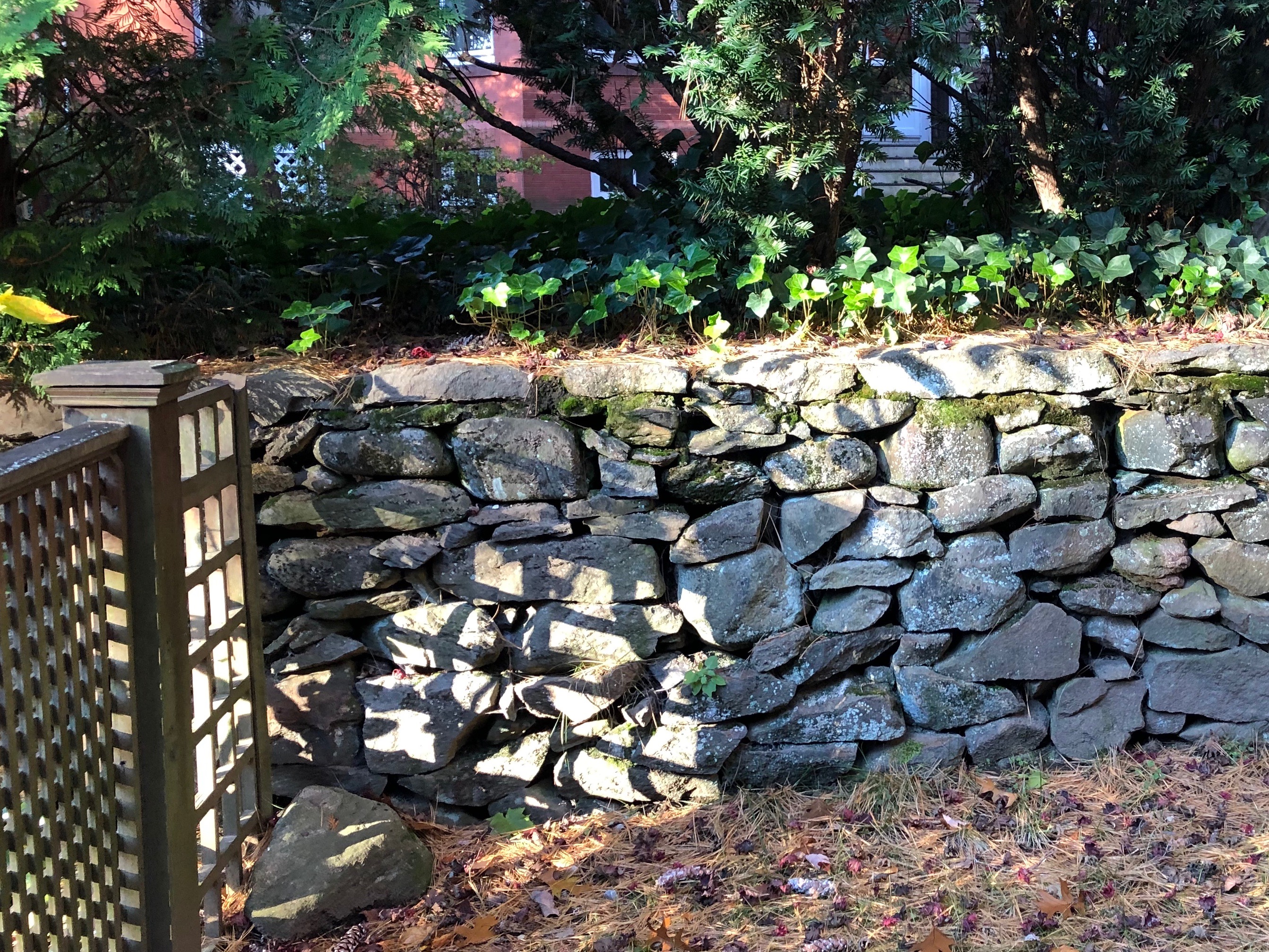 110918-light-thru-fence