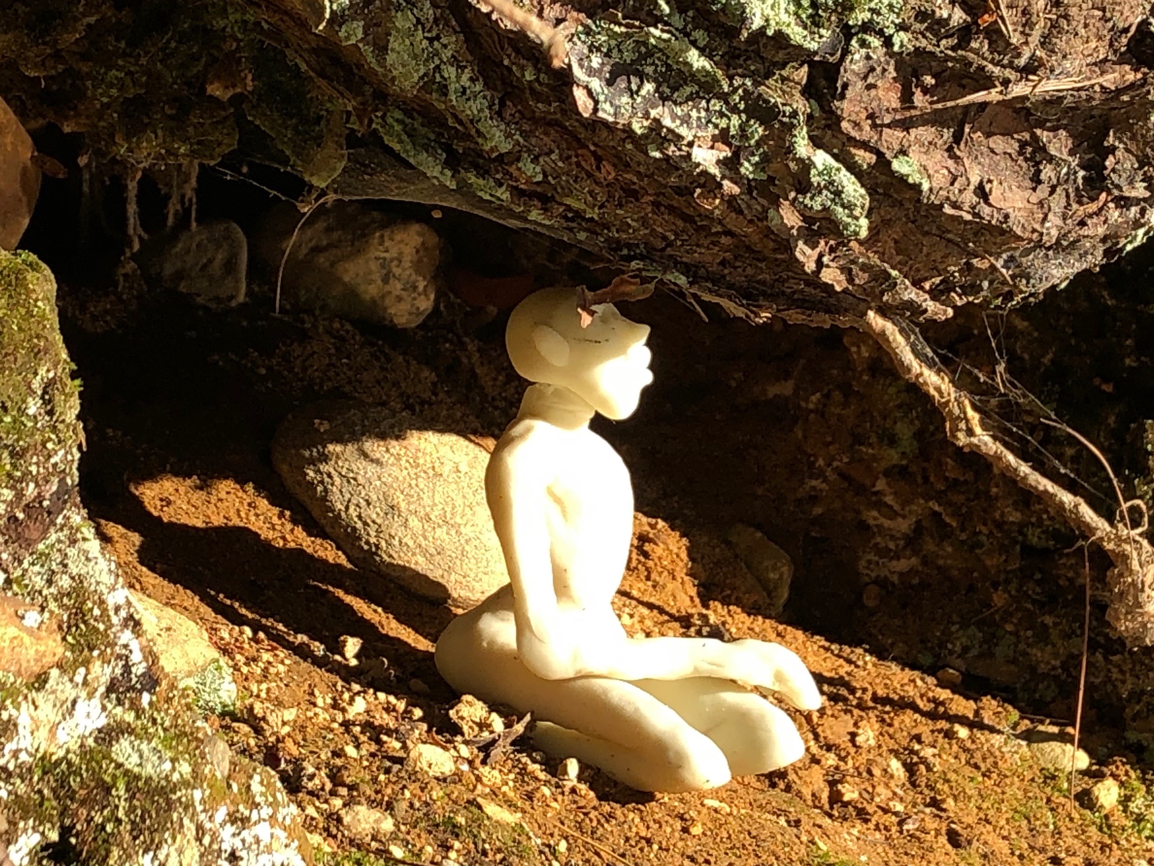 111118-contemplative-hermit-under-a-root