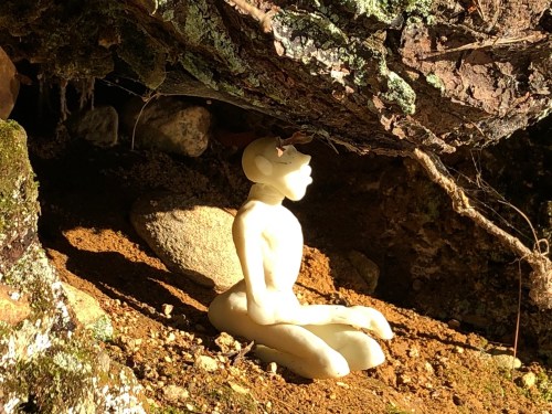 111118-contemplative-hermit-under-a-root