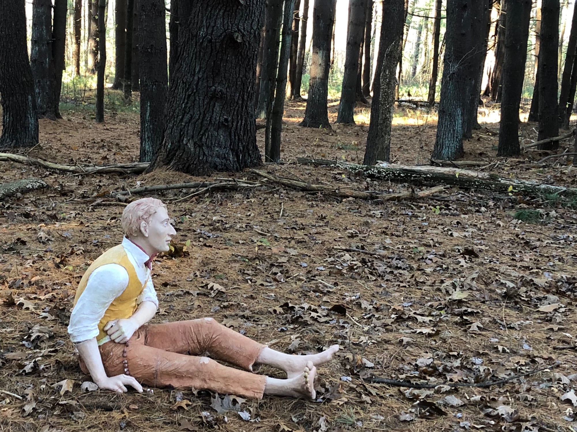 111118-Thoreau-sculpture-in-woods