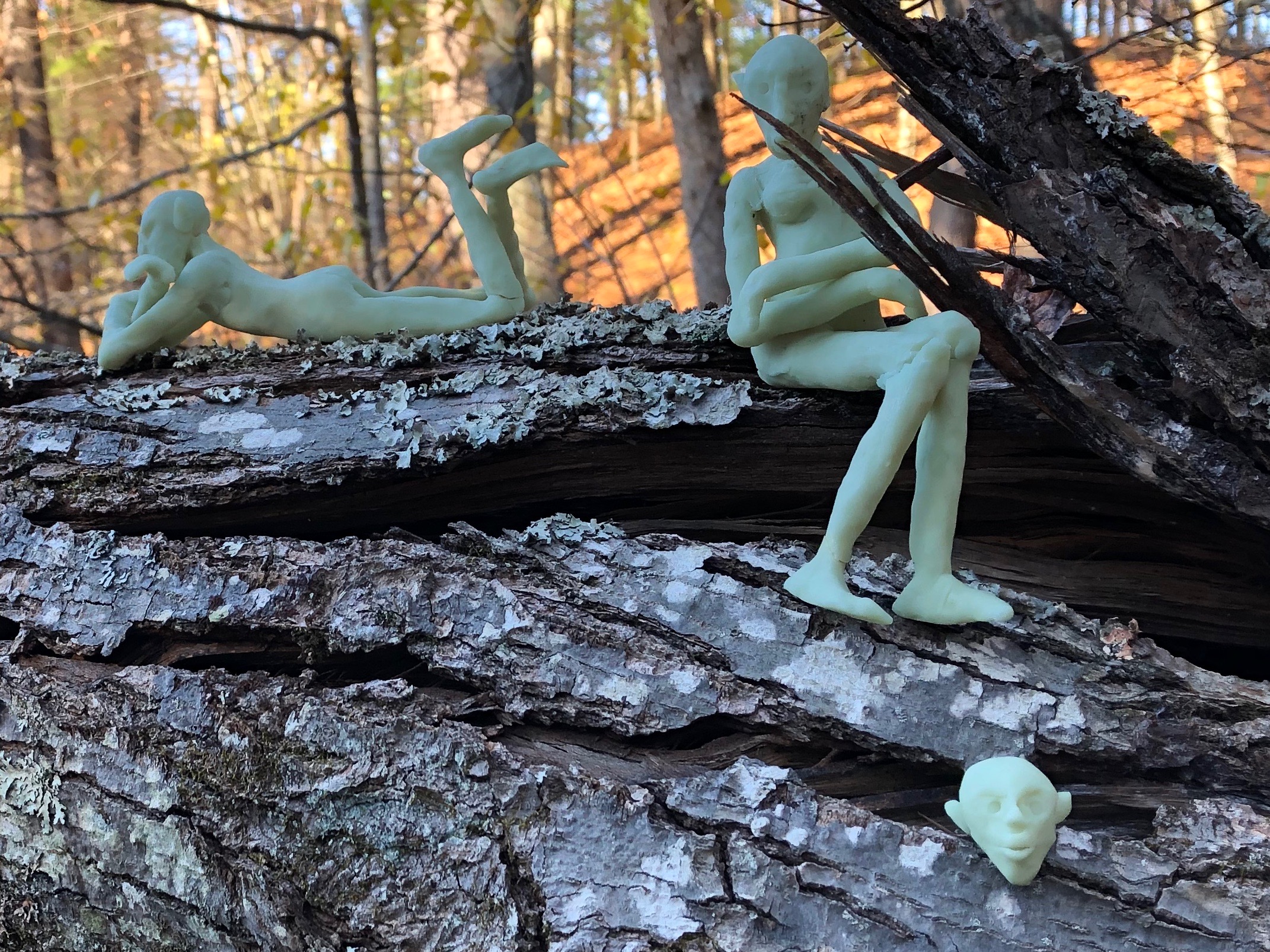 111118-tiny-persons-on-a-log