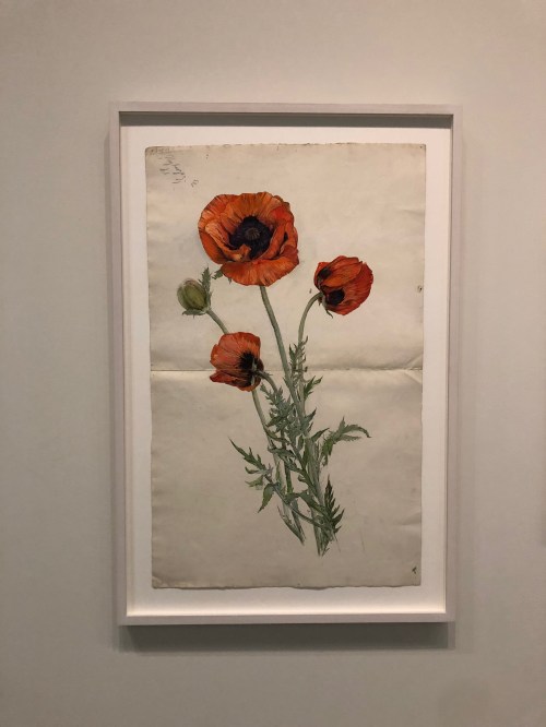 112118-af-Klint-poppy