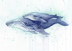 whales-humpback-watercolor-mom-and-baby-olga-shvartsur