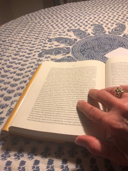 120218-Luna-and-Stella-rings-Knausgaard-book