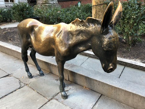 120518-donkey-at-old-city-hall
