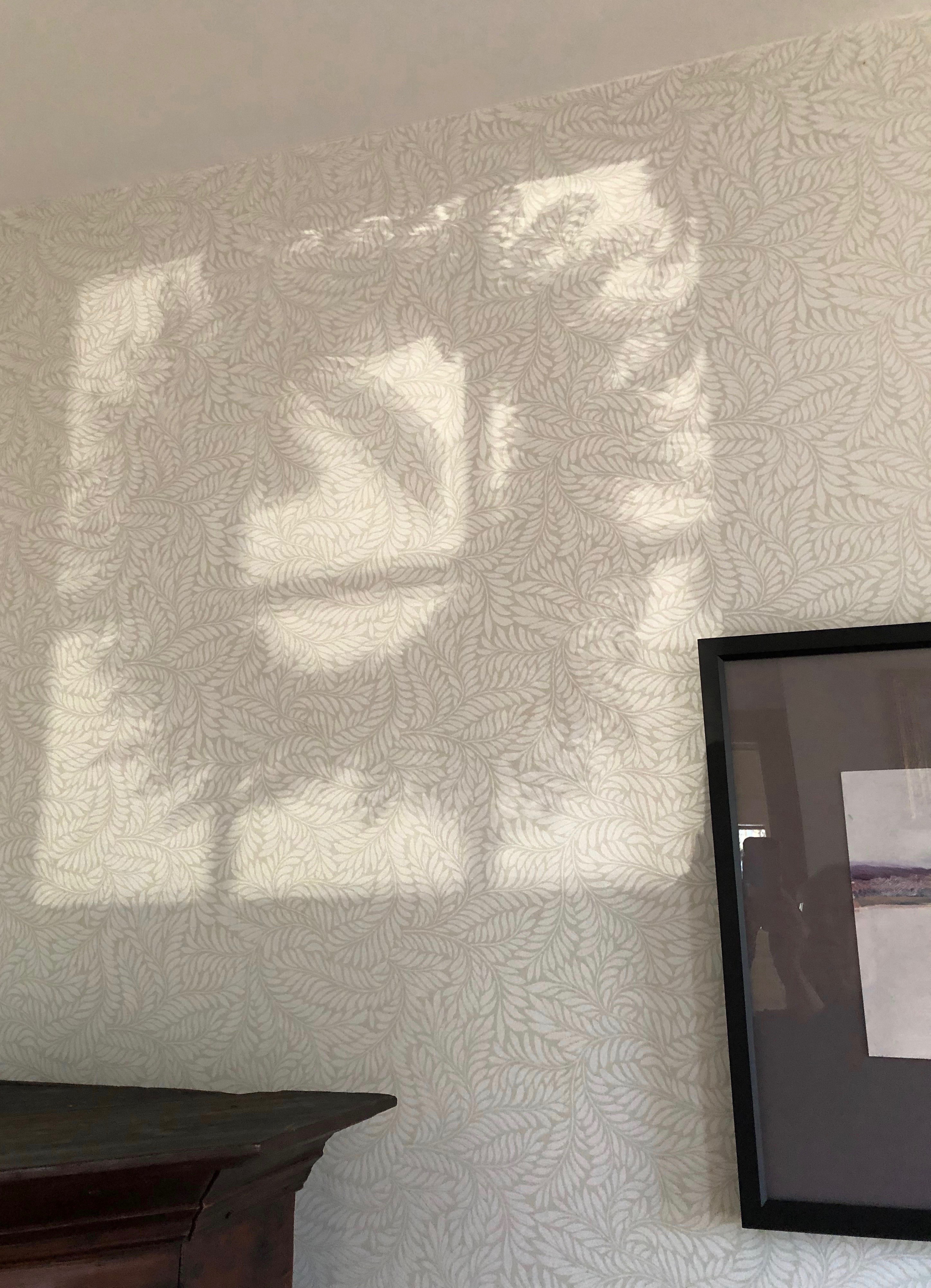 120718-shadow-of-Xmas-wreath