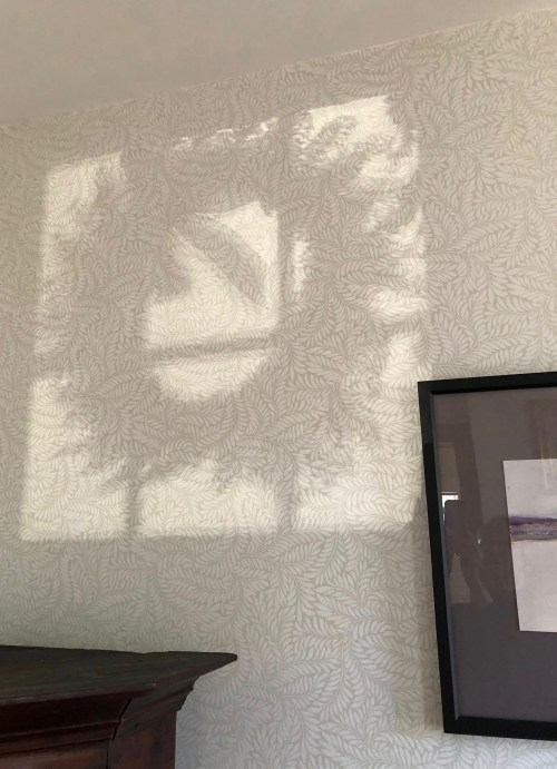 120718-shadow-of-Xmas-wreath