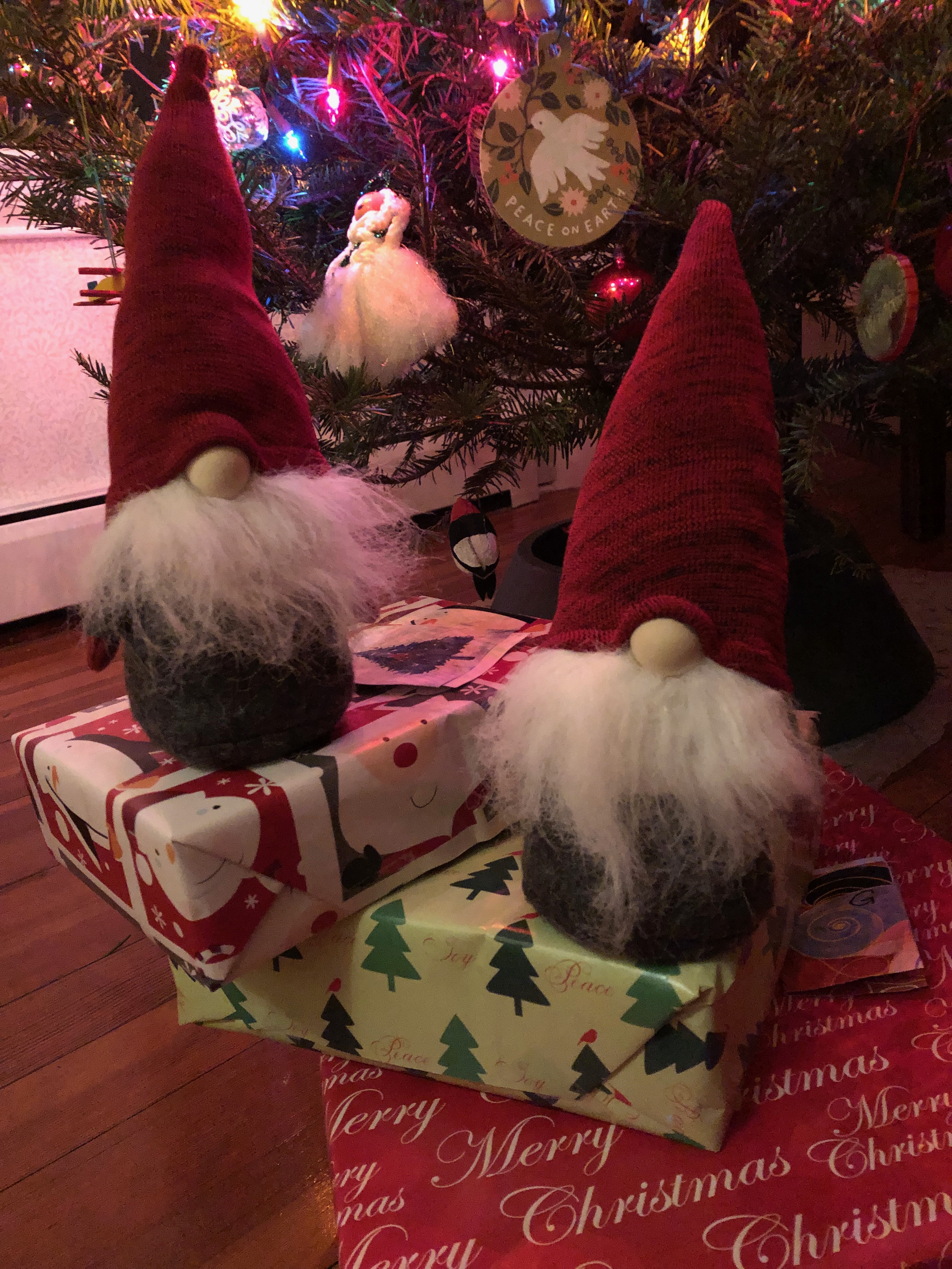 121118-tomtens-and-Christmas-tree