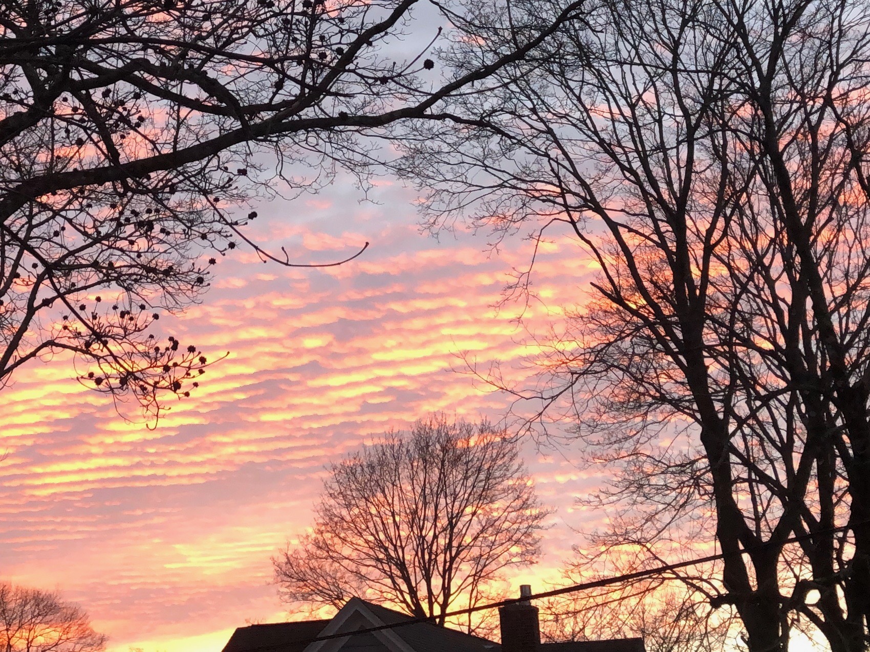 010219-striated-sunrise