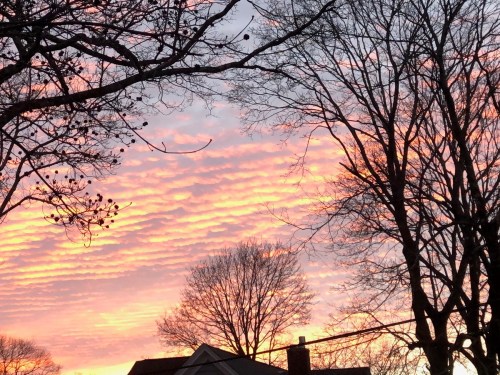 010219-striated-sunrise