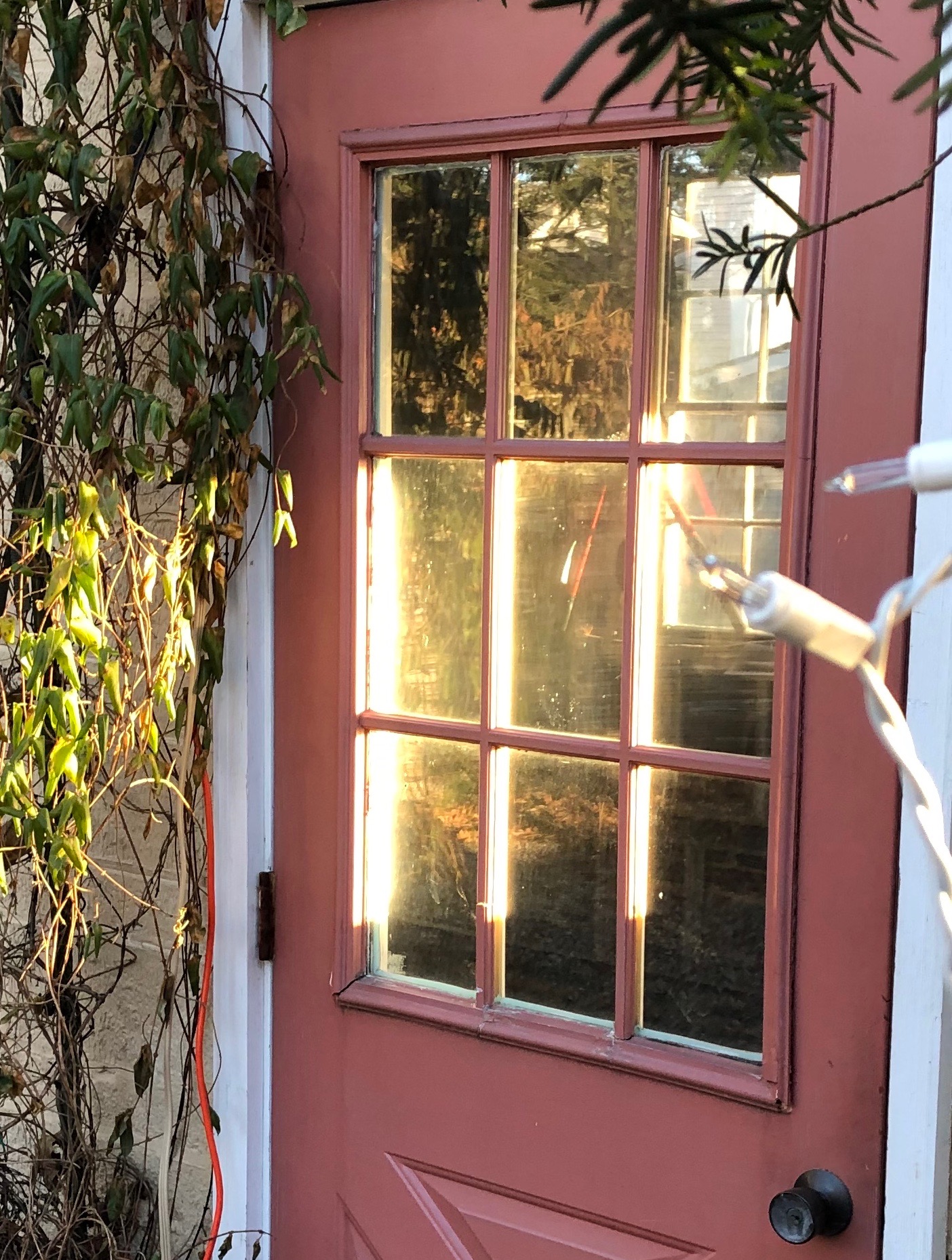 011119-early-sunshine-garage-door