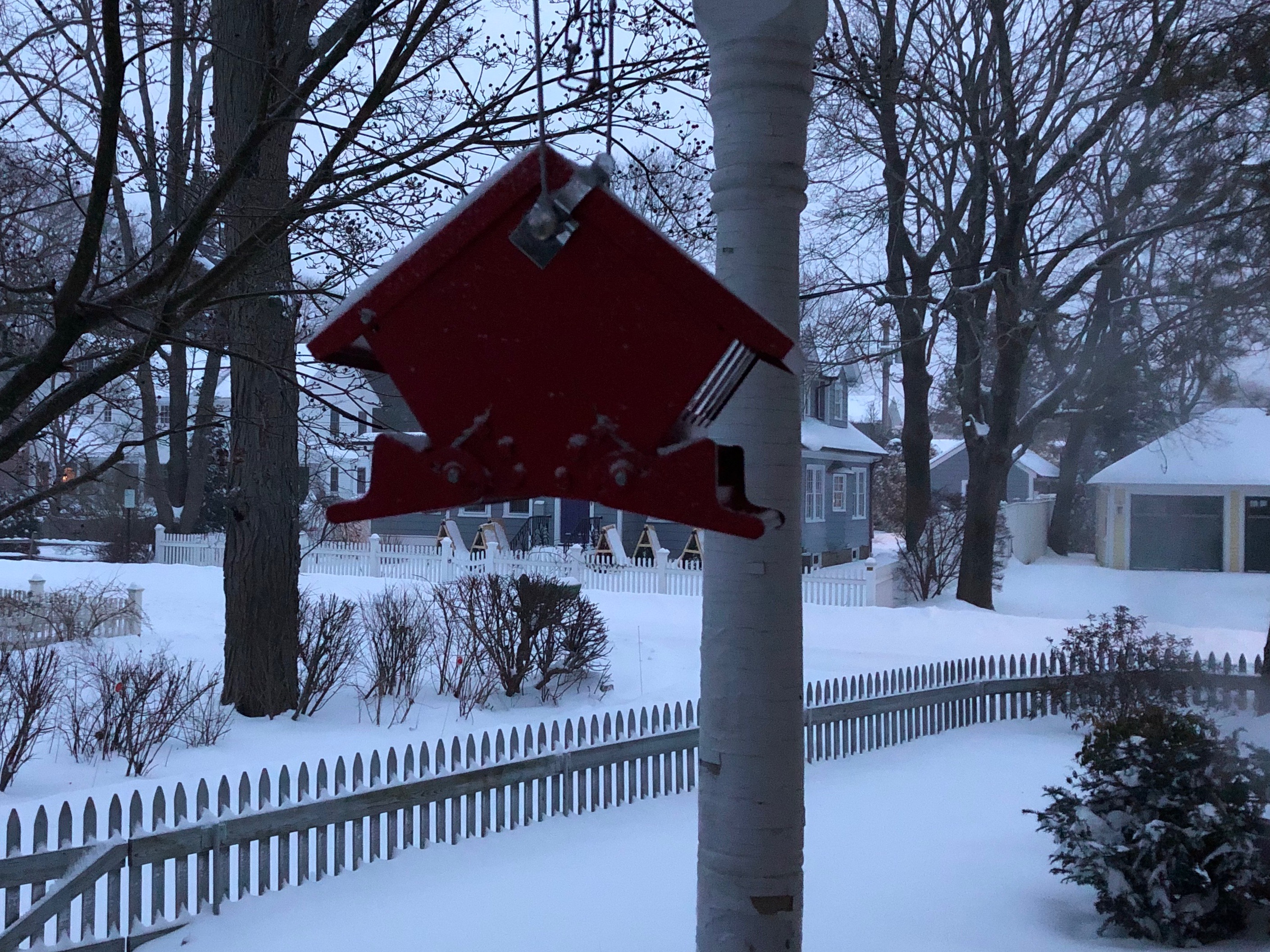 012019-bird-feeder-in-blue-dawn-snow