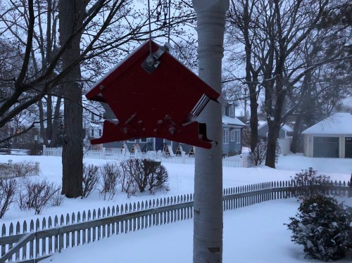 012019-bird-feeder-in-blue-dawn-snow