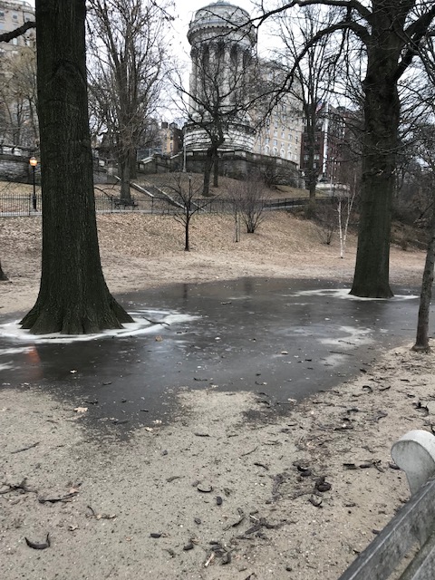 012319-nell-finds-lots-of ice-riverside-park