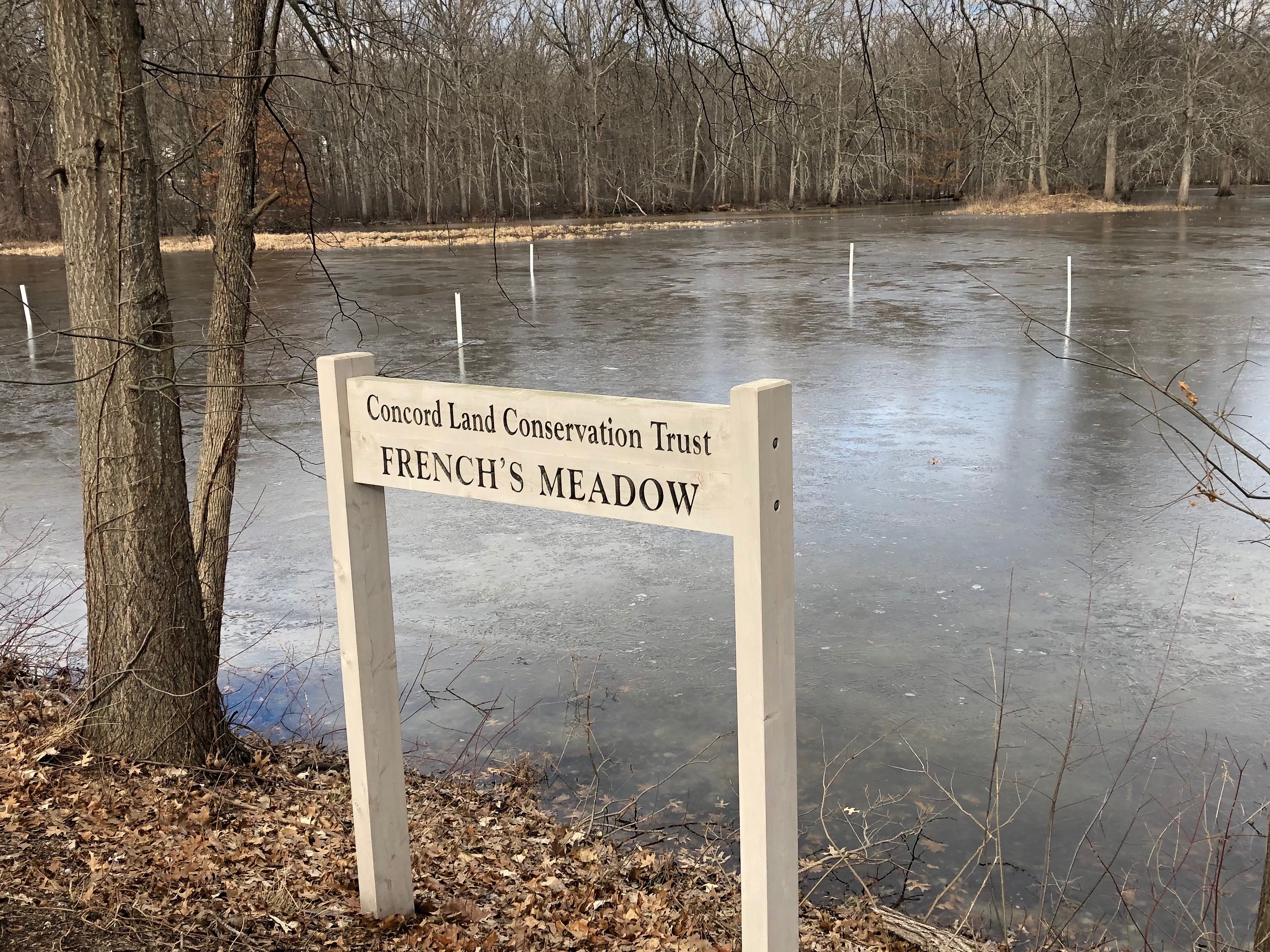 012519-sudbury-river-meadow-in-january