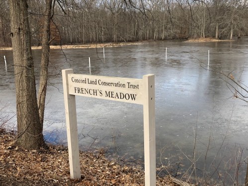 012519-sudbury-river-meadow-in-january