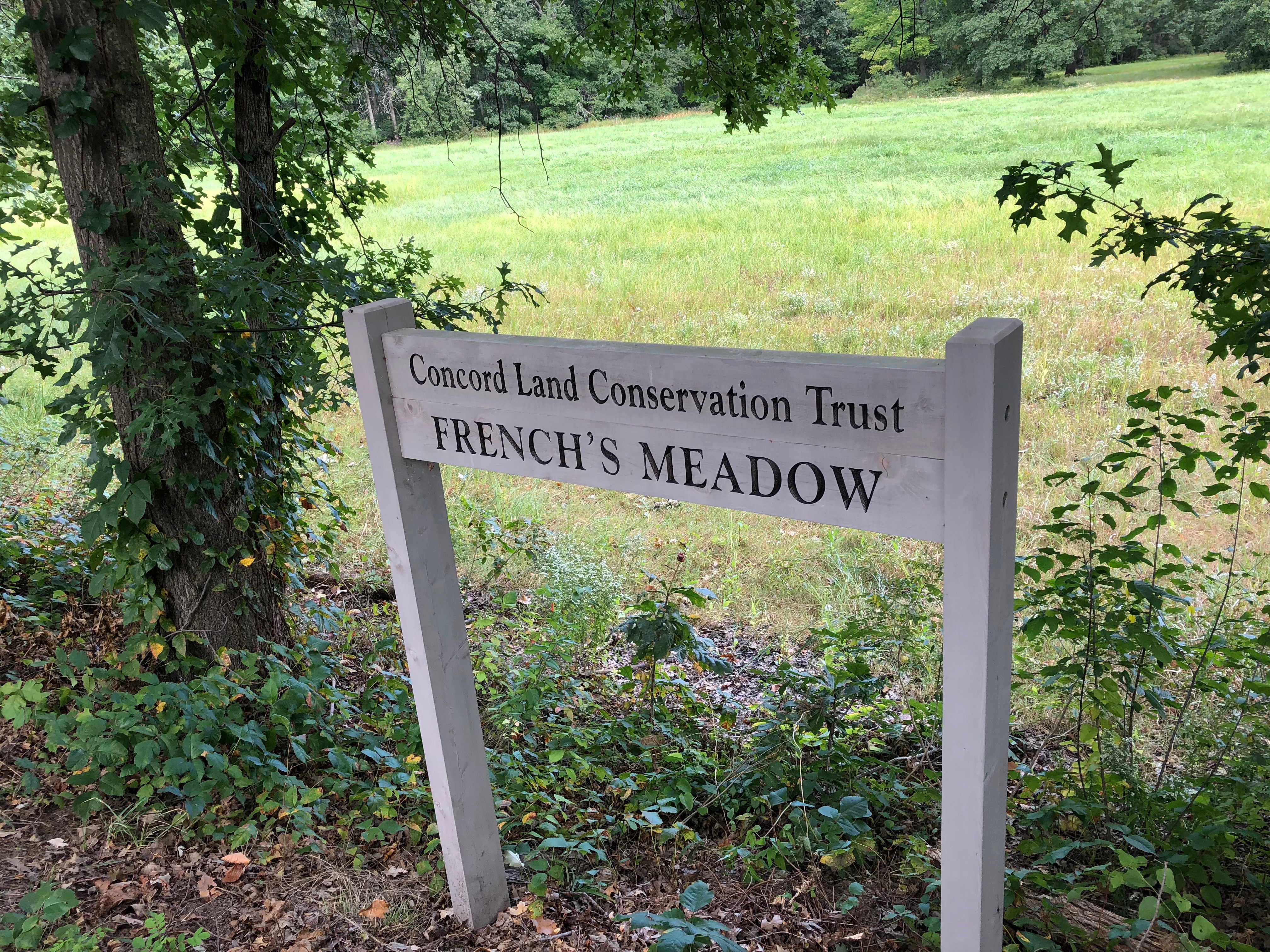 092318-sudbury-river-meadow-in-sept