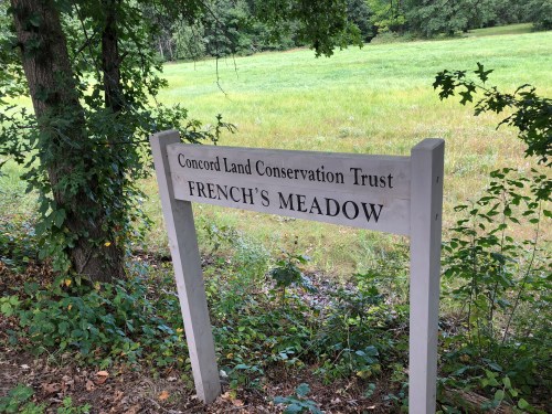 092318-sudbury-river-meadow-in-sept