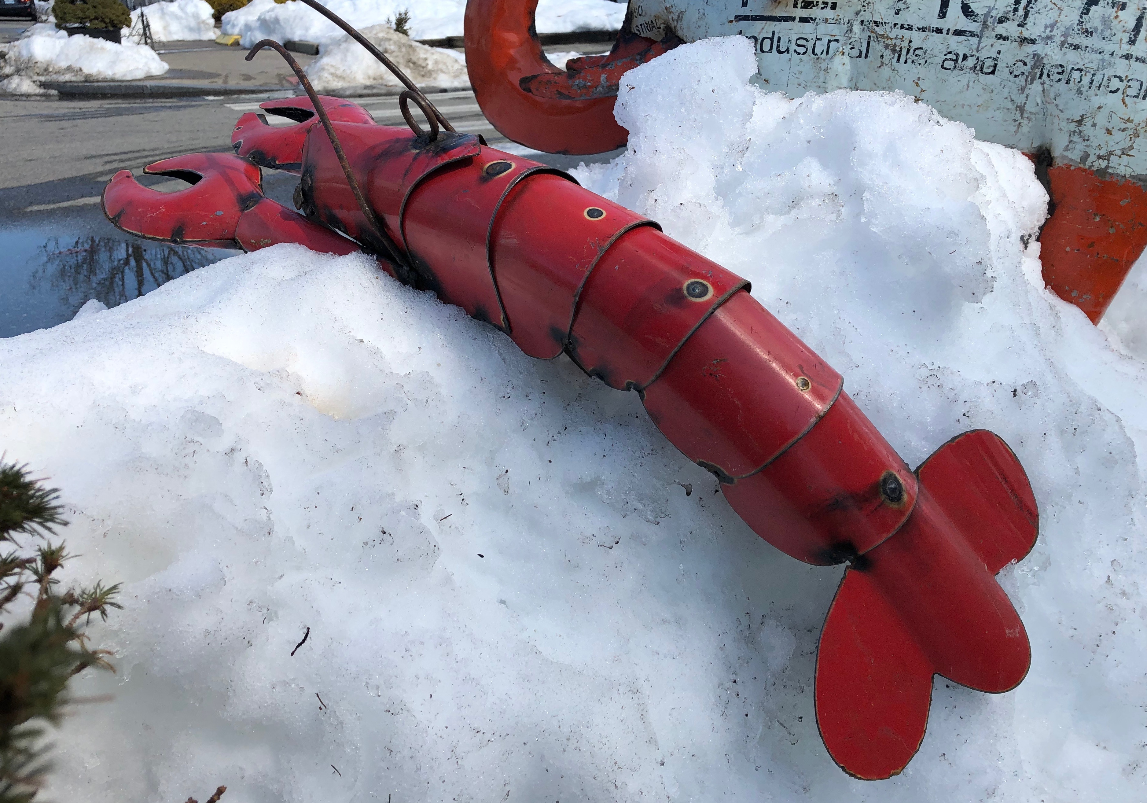 031119-lobster-on-ice