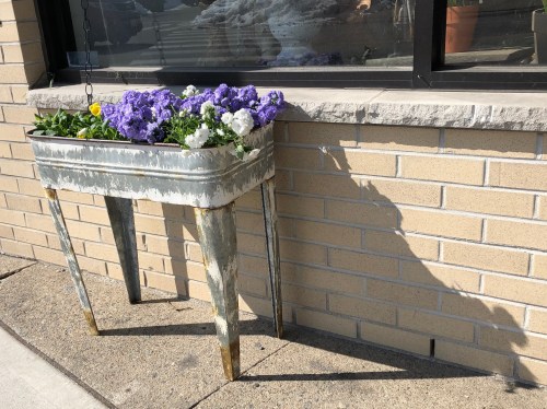 031119-warm-March-day-Providence