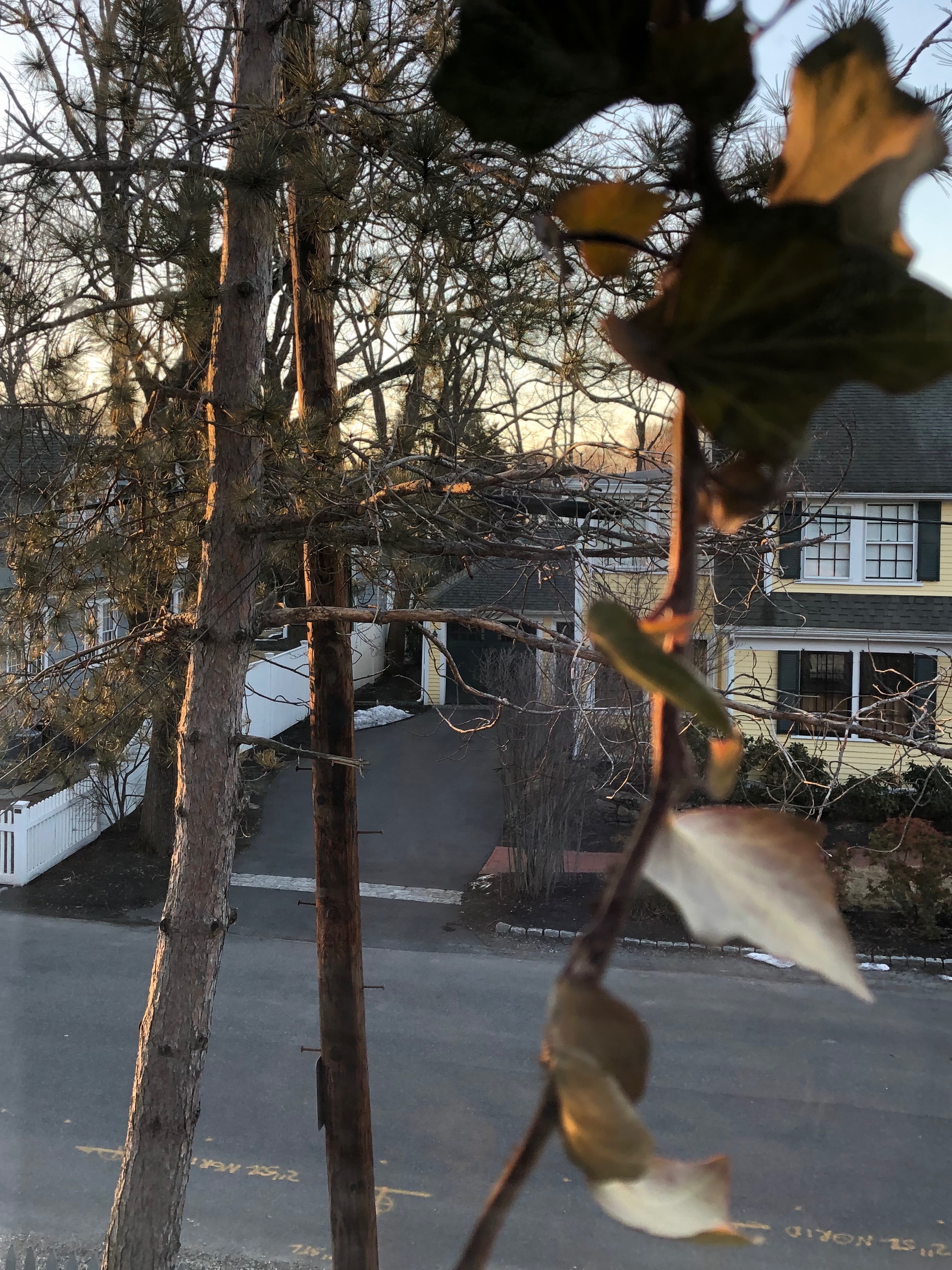 032419-sunlight-Sunday