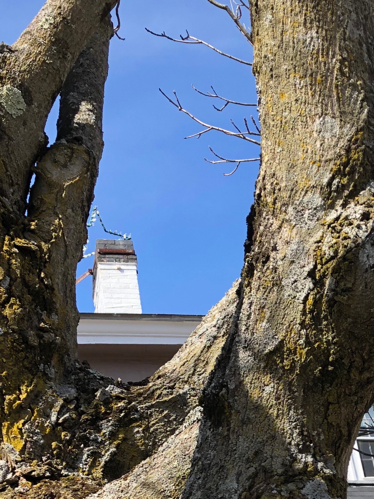 032819-Colonial-Inn-Chimney-and-lichen