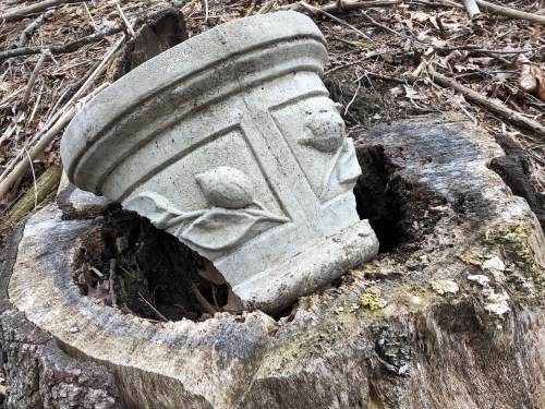 032919-detritus-on-the-trail