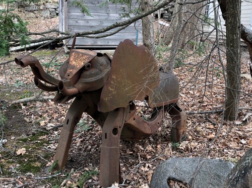 033019-elephant-in-the-yard