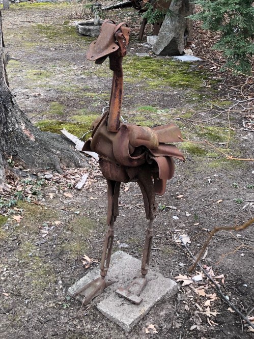 033019-ostrich-at-Concord-Art