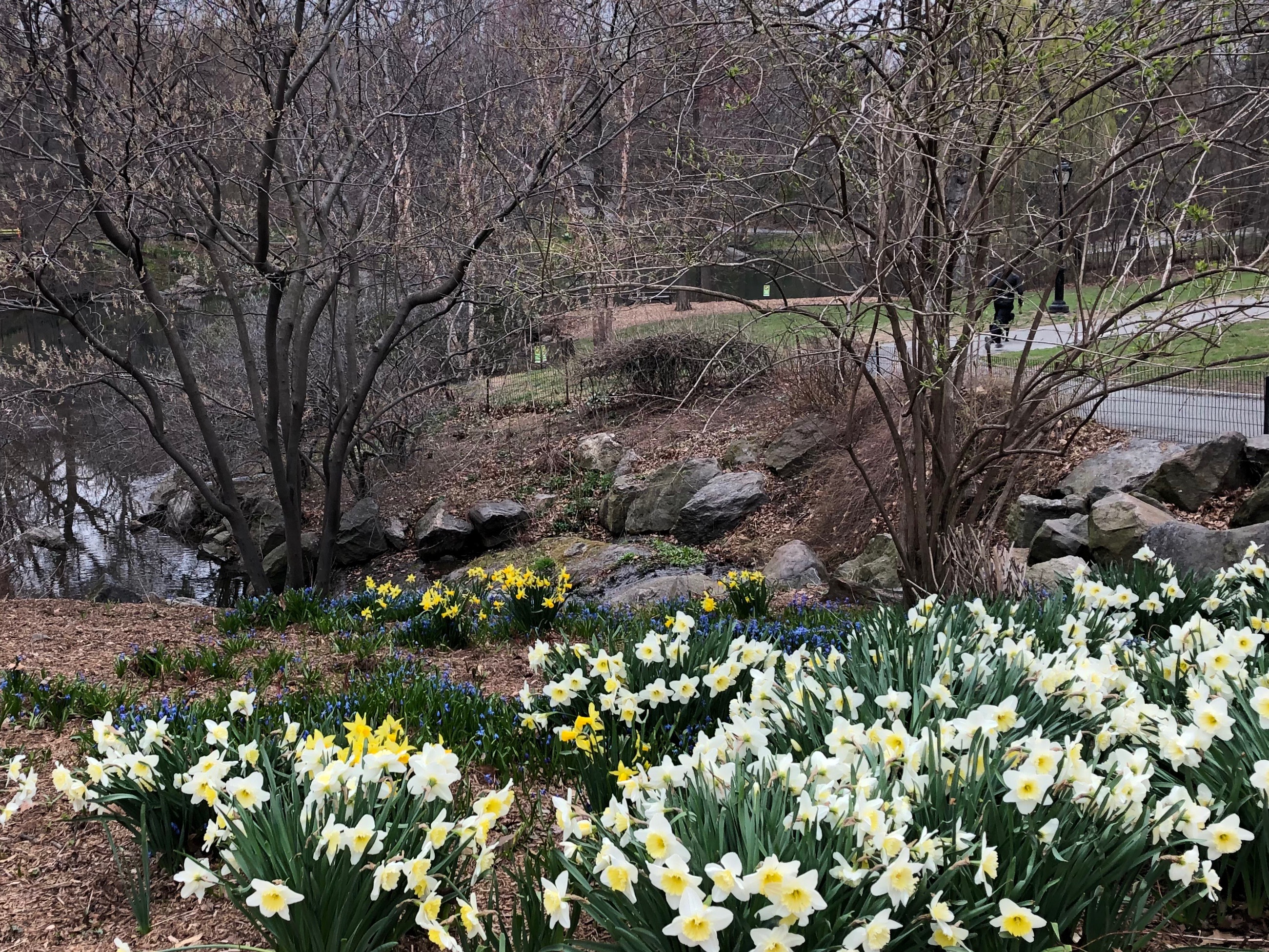 041119-Lagoon-Central-ParkJPG