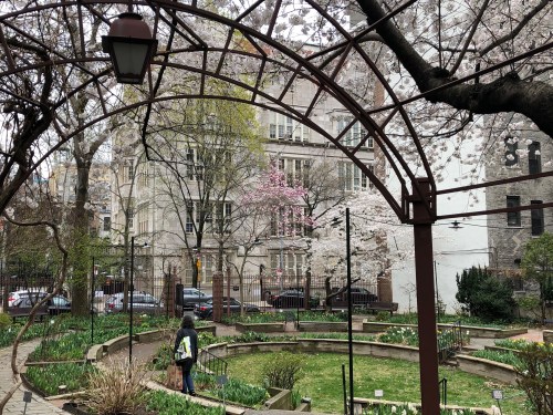 041219-.community-garden-in-spring