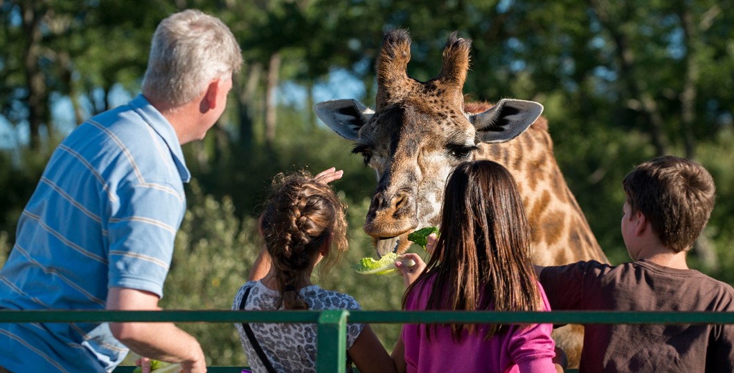 closer-6576_wilds_hp_2120x1080