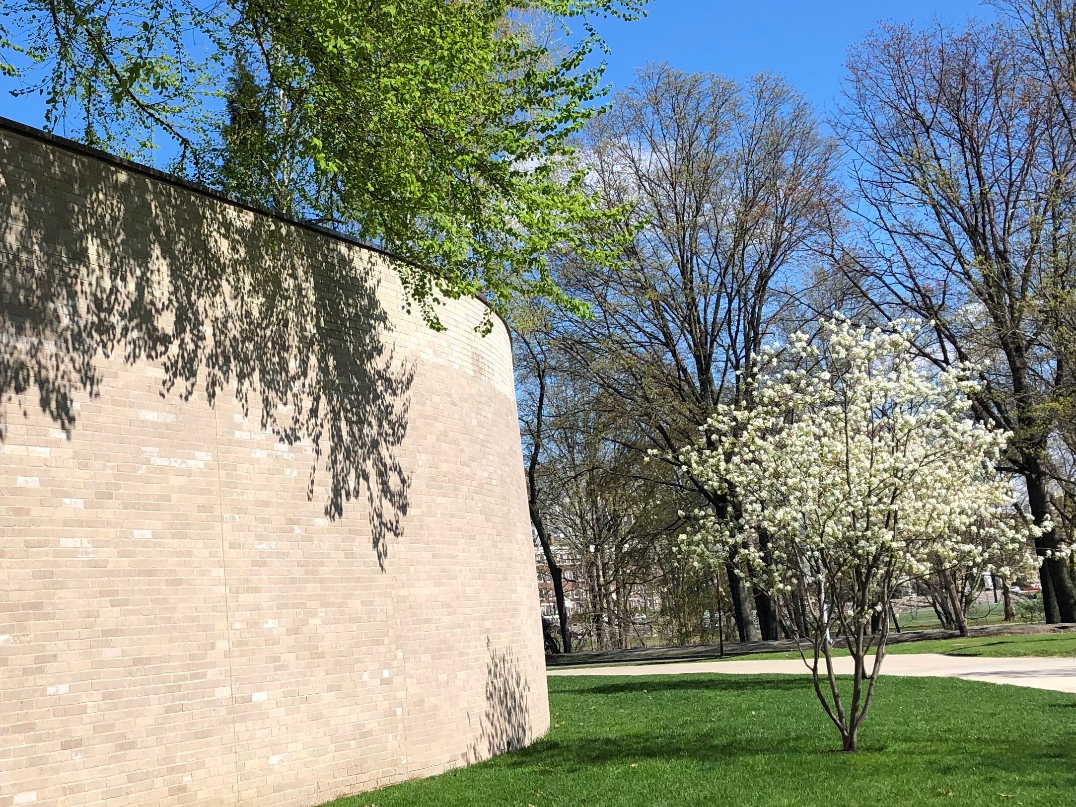 042519-Isabella-Stewart-Gardner-wall