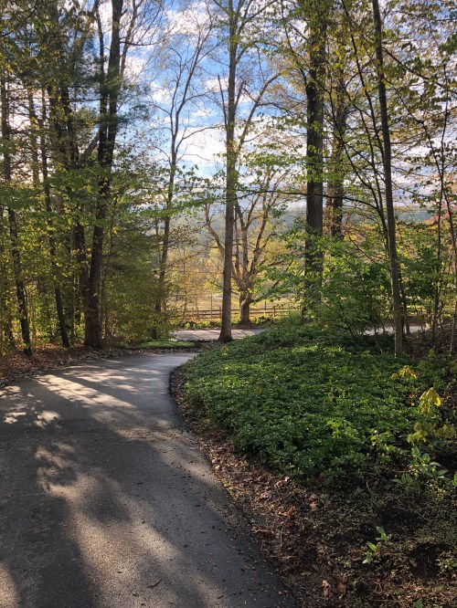 051519-Brimfield-B&amp;B-view