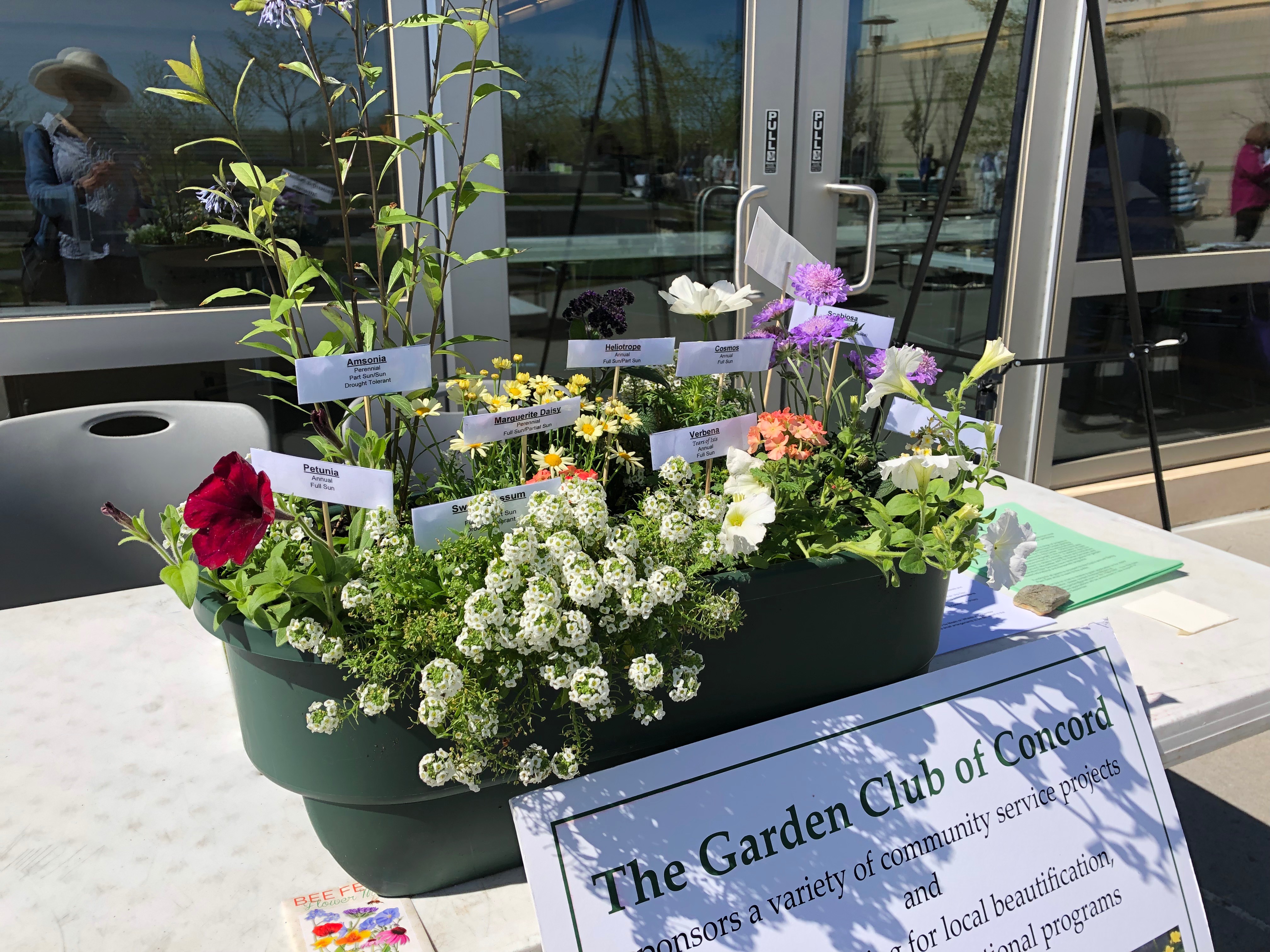 051819-native-flowers-Massachusetts