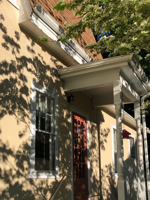 052419-dogwood-shadows-in-May