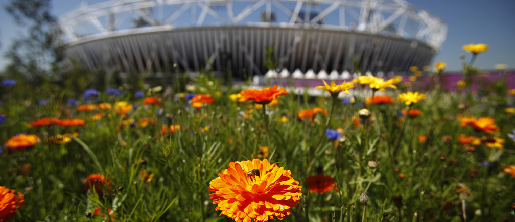 large_t_bcyzlmnca3tnmpokvf8h7rlalyd5xo7anjqui3htc