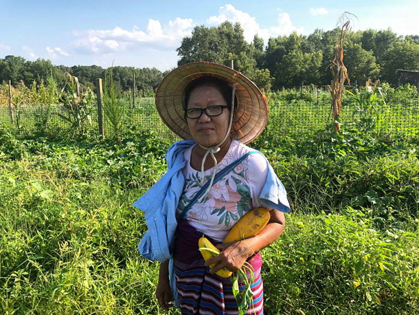refugee-moo-paw-with-vegetables
