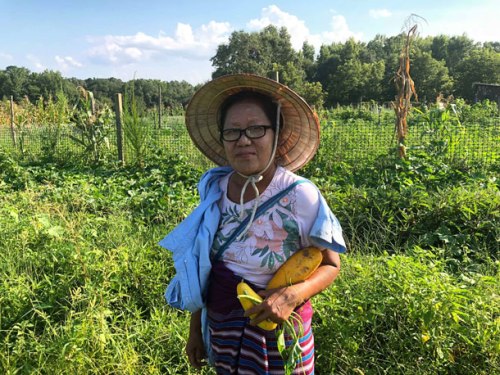 refugee-moo-paw-with-vegetables