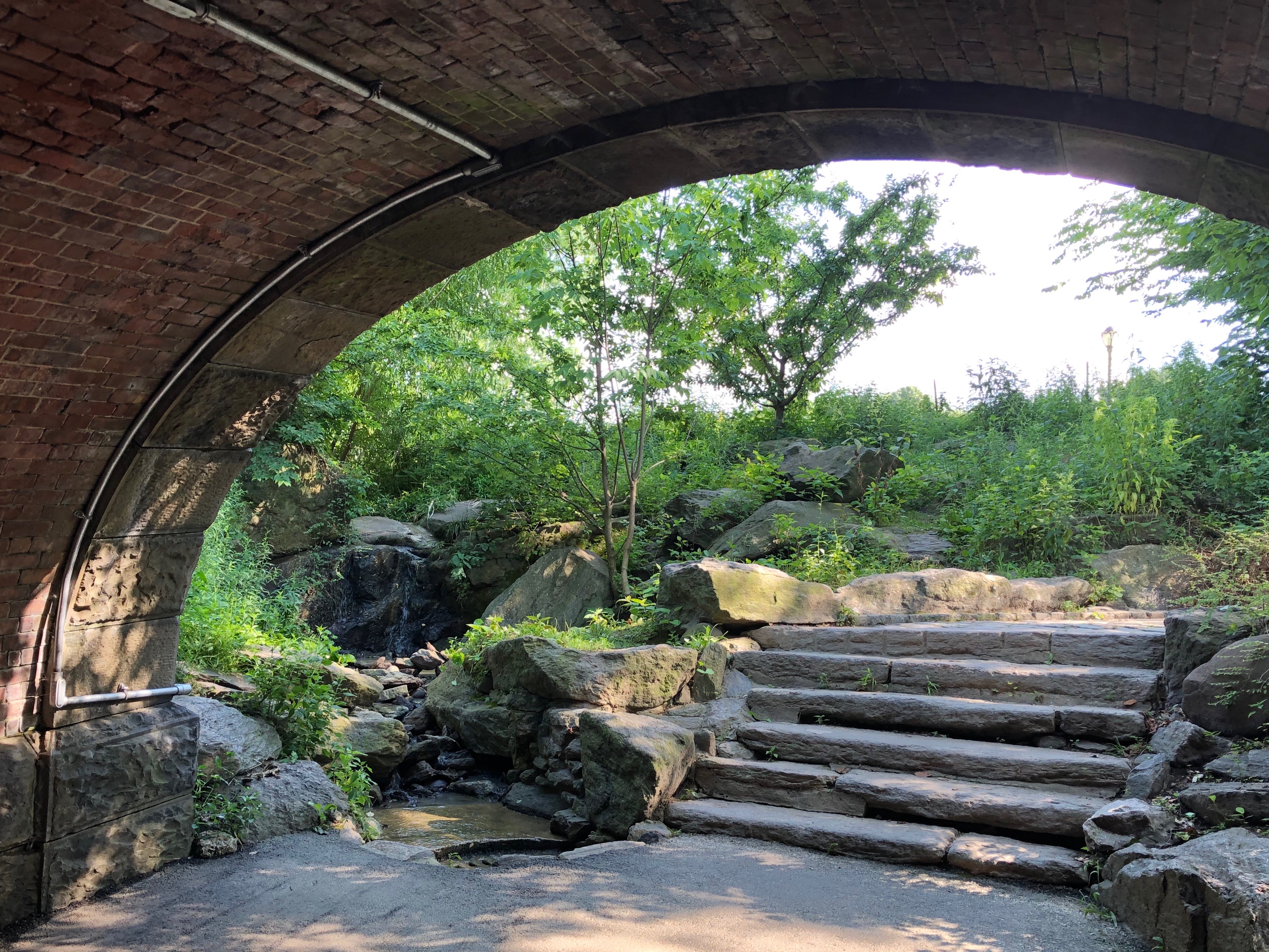 072419-Central-Park-NYC