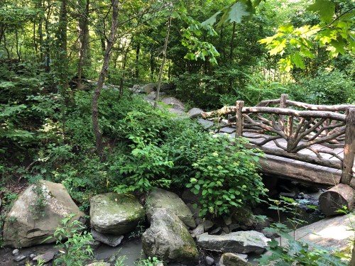072419-Central-Park-stream