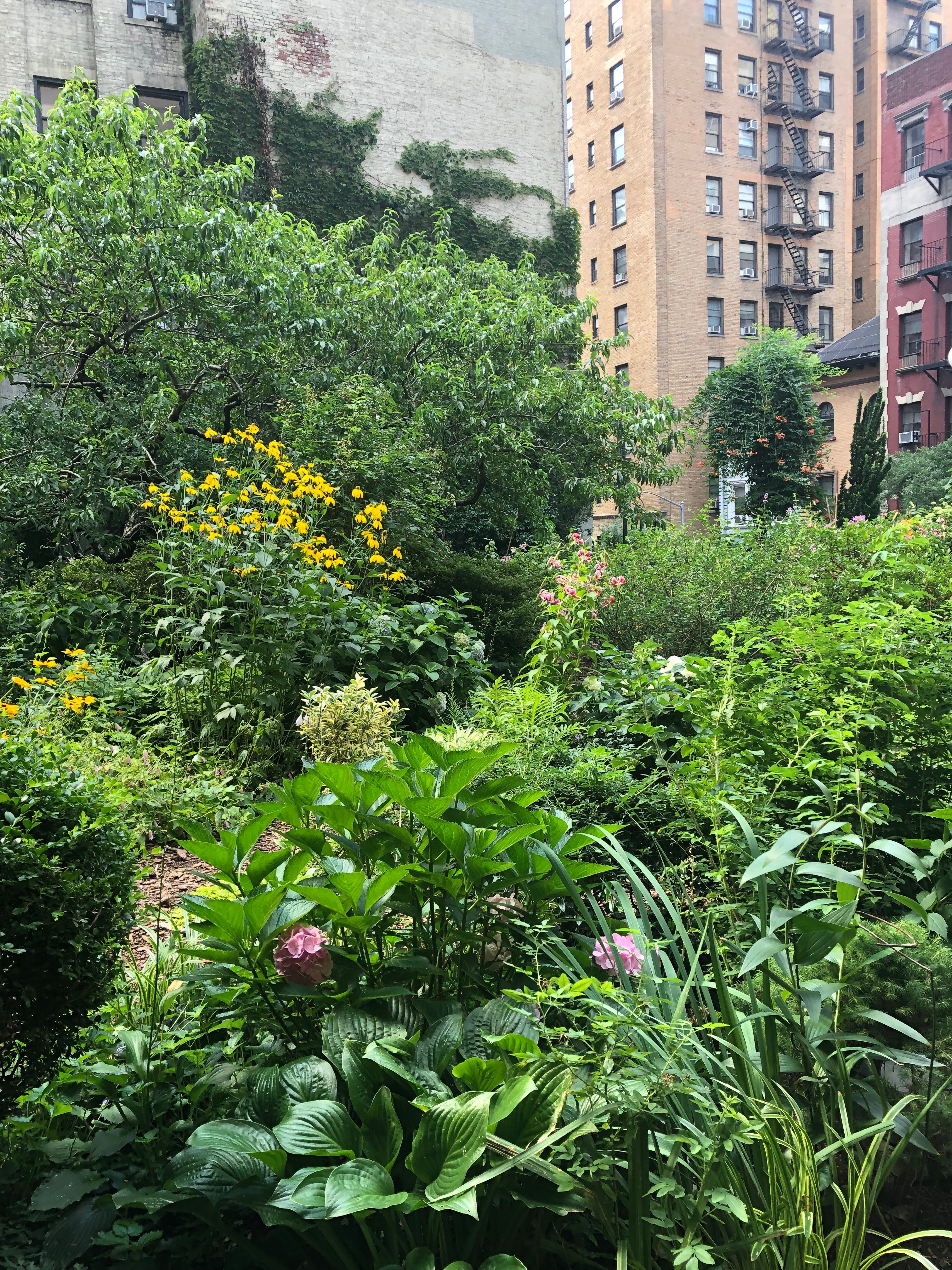 072619-.Lotus-Garden