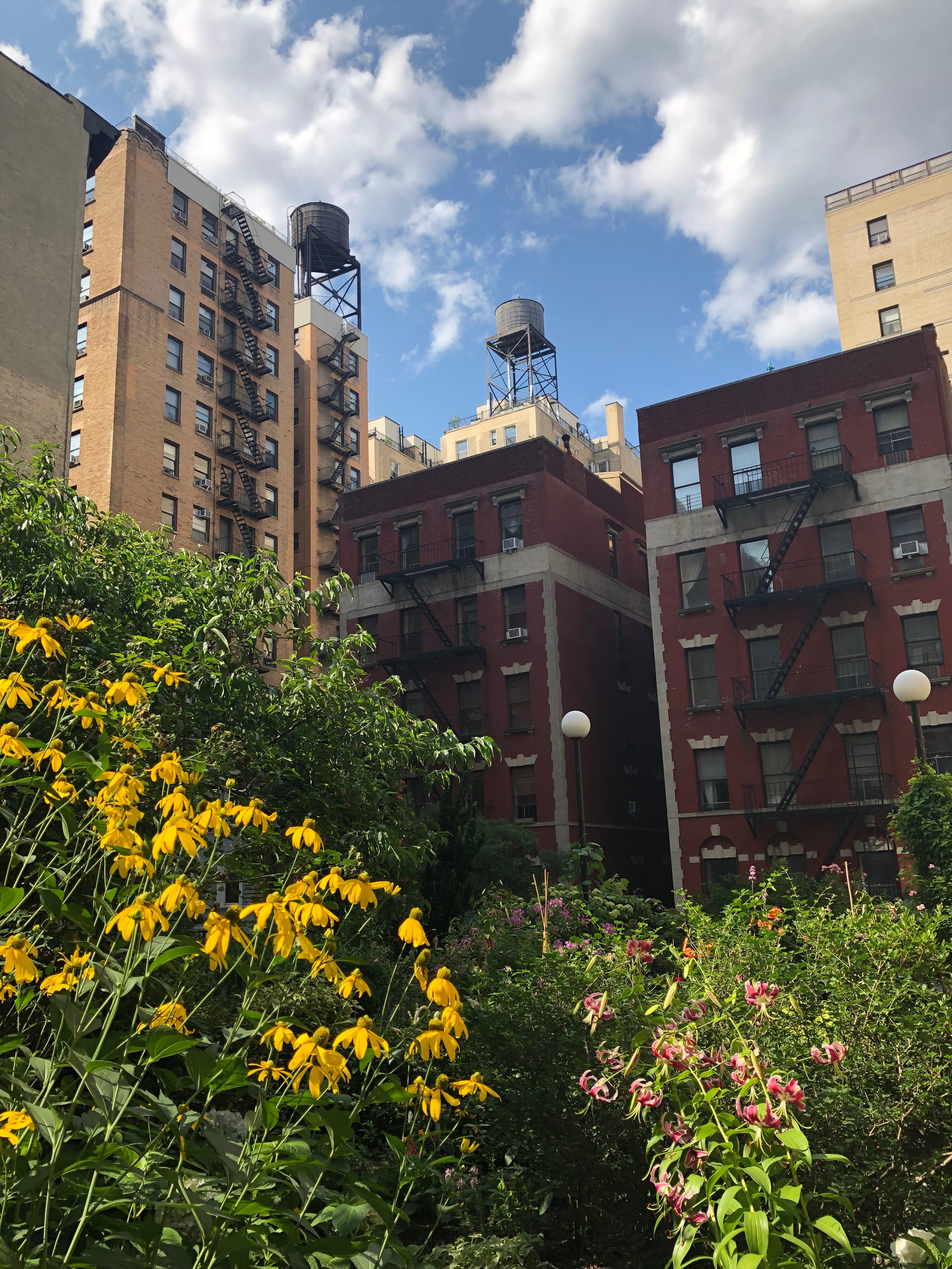 072619-.NYC-rooftop-garden