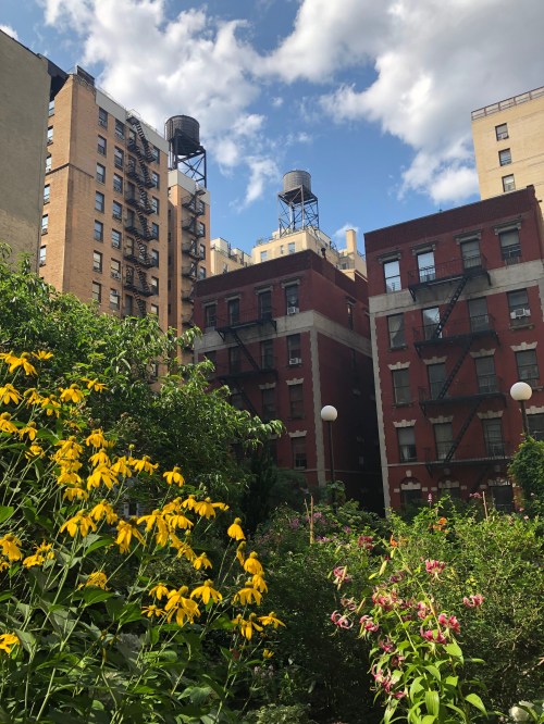 072619-.NYC-rooftop-garden