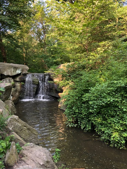 072619-babbling-brook-Central-Park