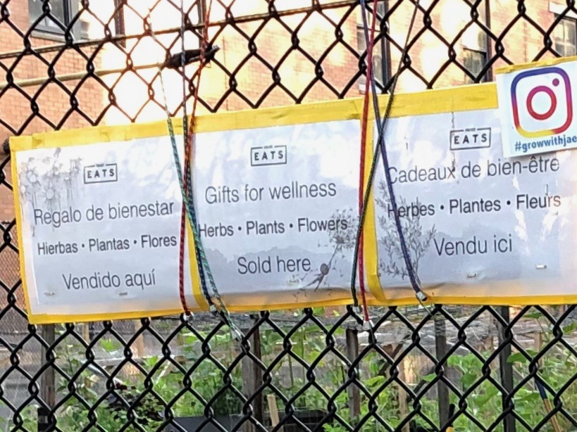 072719-Jae-has-healing-plants