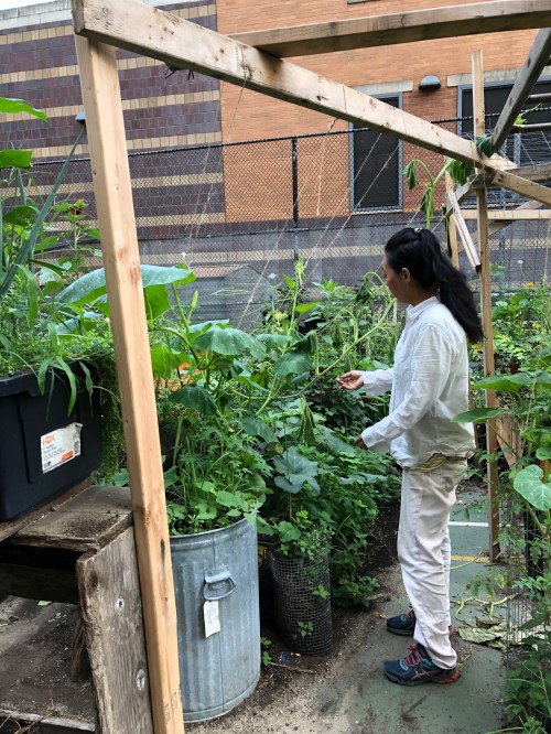 072719-Jae-in-organic-garden
