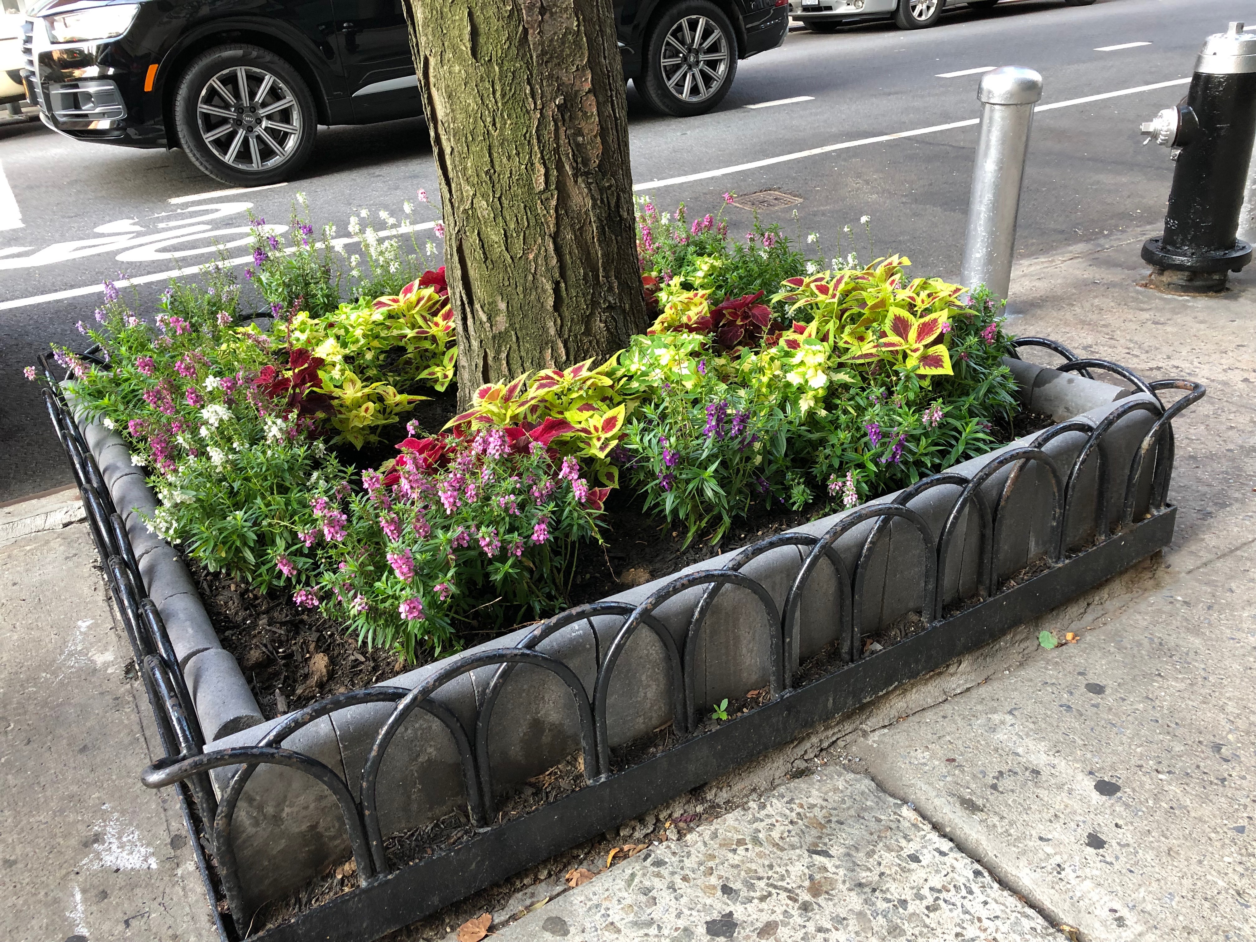 072719-garden-without-ugly-dog-sign