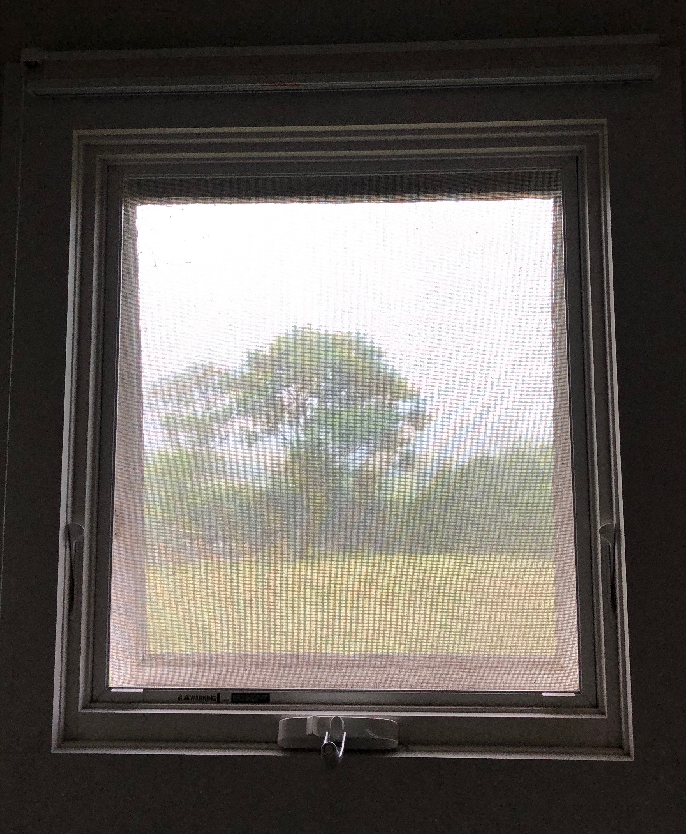 073119-bathroom-window-with-tree